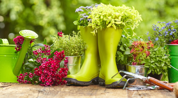 concours maisons fleuries