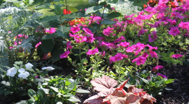 Veigné ville fleurie