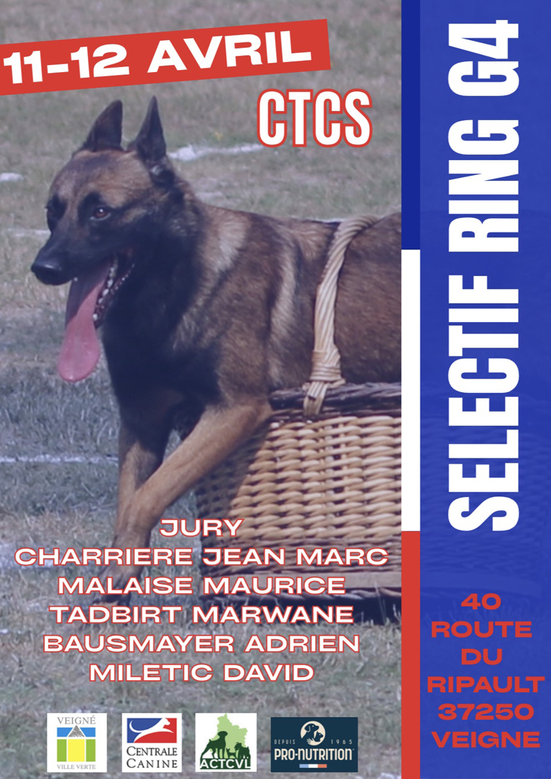 chien