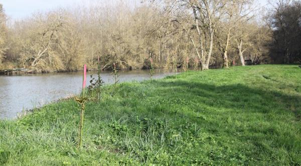 Berges de l'Indre